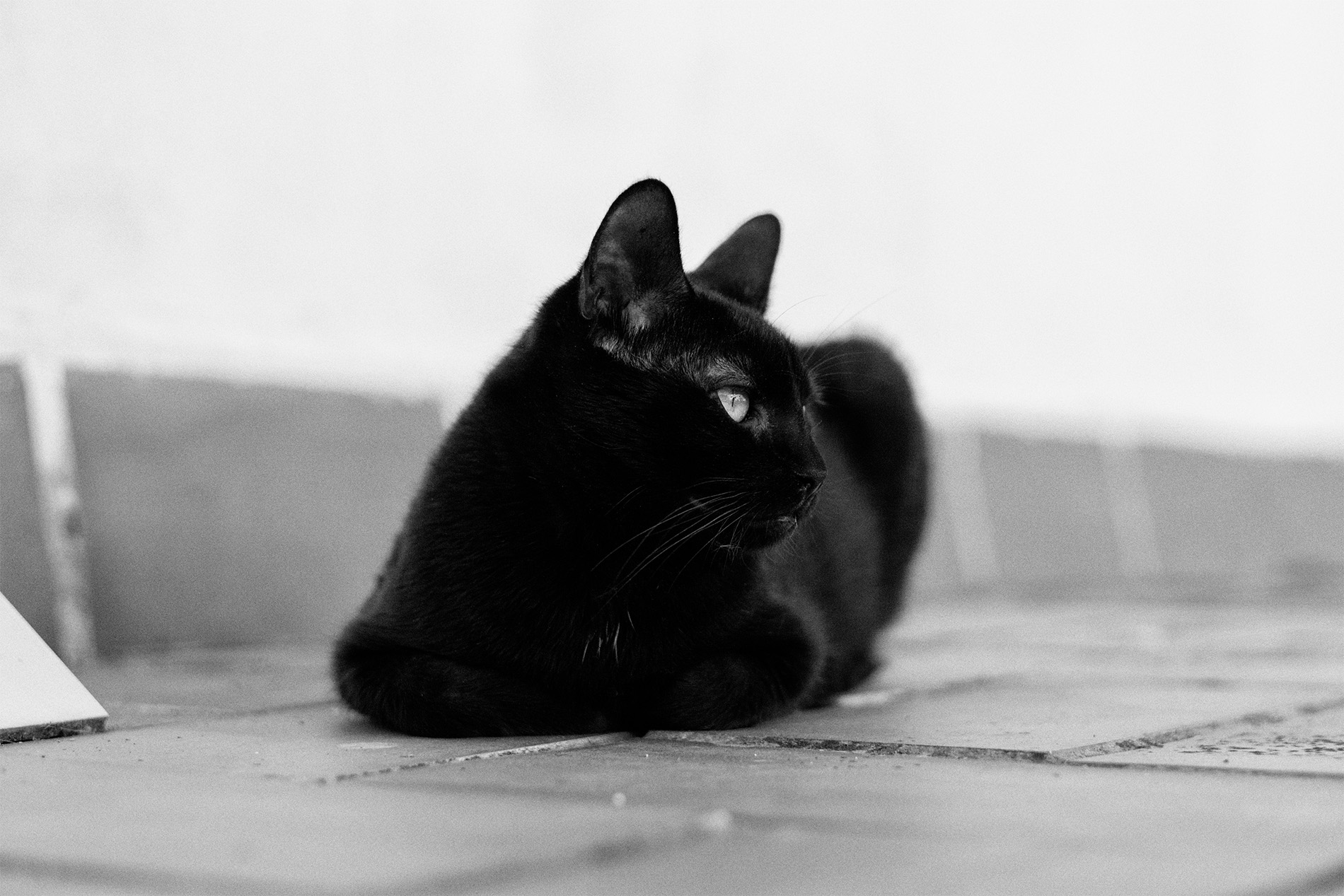 Eros